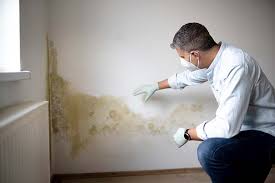 Best Comprehensive Air Testing for Mold Contaminants  in Fanning Springs, FL